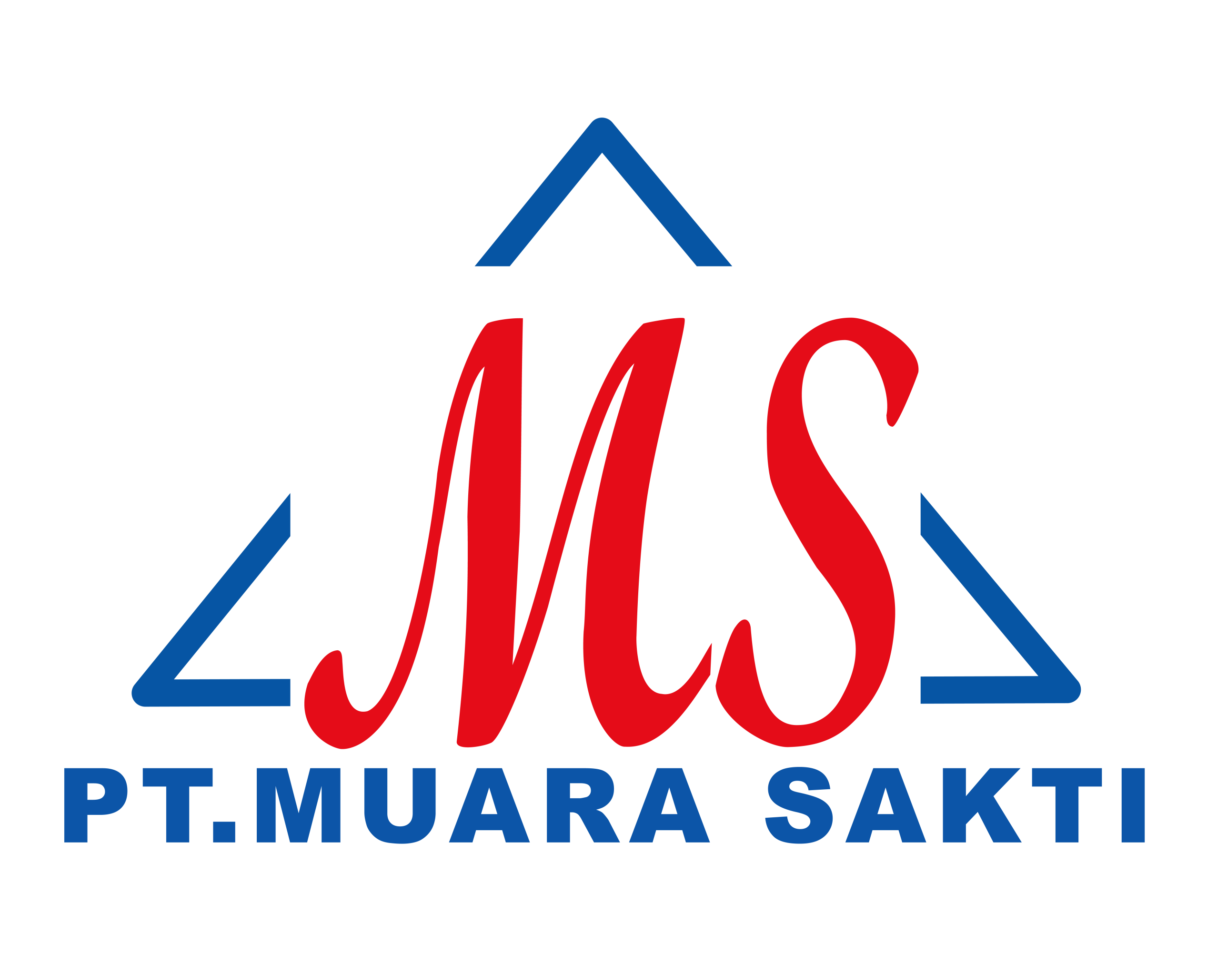 PT. Muara Sakti